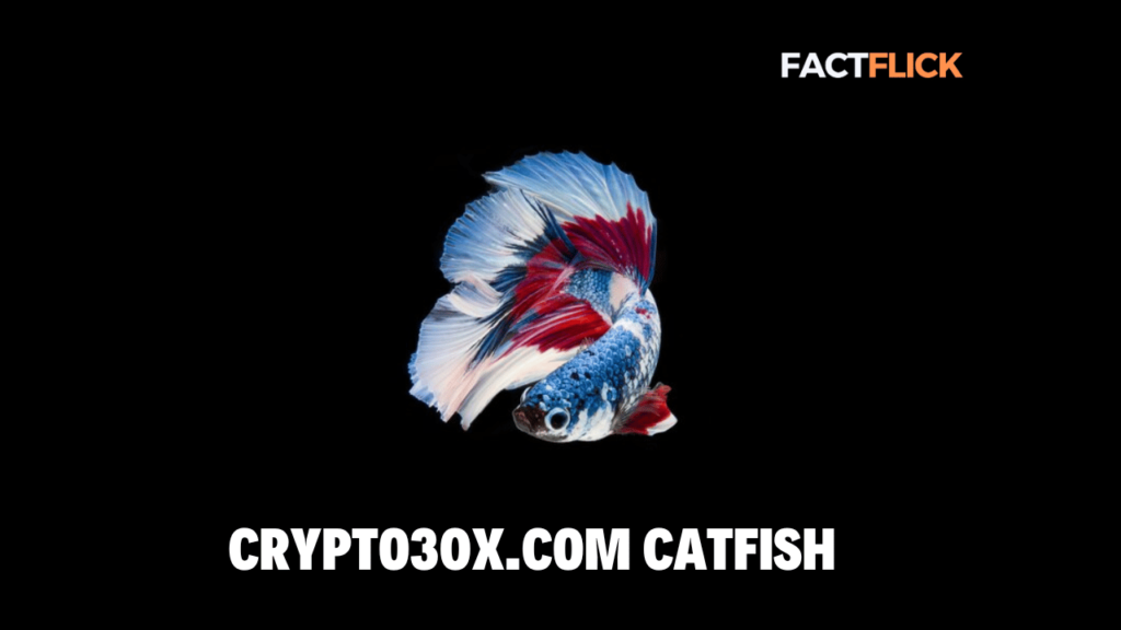 Crypto30x.com Catfish